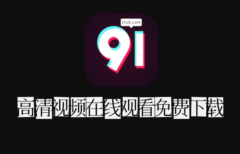 91破解版安装