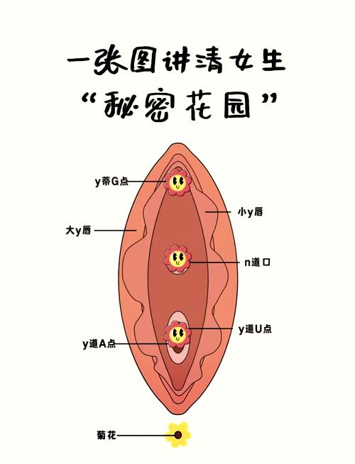  内容详尽的揉小花园的基础手法教学图解，网友：技巧满满，受益匪浅！