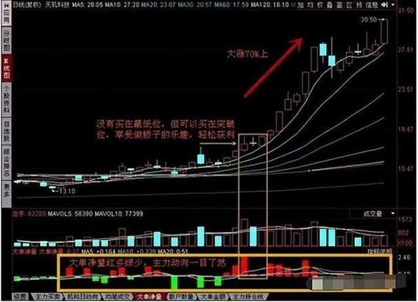  两阳夹双阴：探寻人生中的平衡之道