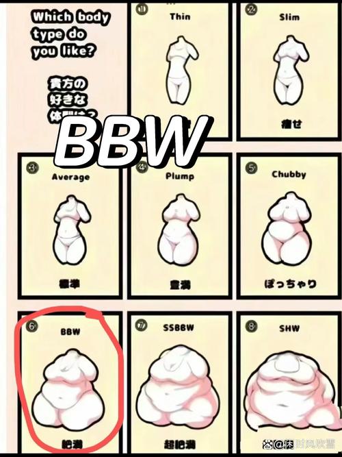  深入探讨：老bwbwbwbwbw现象解析